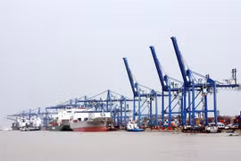 Hoạt động xếp dỡ hàng hóa tại cảng Cát Lái, Thành phố Hồ Chí Minh. (Ảnh: Đỗ Ngọc Giang/TTXVN)