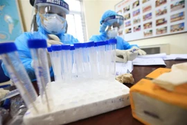 Lấy mẫu xét nghiệm SARS-CoV-2. (Ảnh: TTXVN)