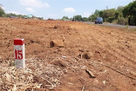 Khu vực đất ở Hớn Quản, Bình Phước mà các đối tượng đầu cơ môi giới tụ tập đẩy giá cao giờ còn lại cột mốc phân lô, bán nền. (Ảnh: K GỬIH/TTXVN)