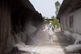 Phun thuốc tiêu độc khử trùng tại trang trại chăn nuôi lợn. (Ảnh: Hồng Đạt/TTXVN)
