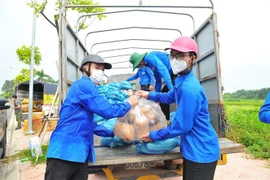 Thanh niên ở Hà Nội vận chuyển nhu yếu phẩm hỗ trợ công tác phòng chống dịch bệnh COVID-19. (Ảnh: Minh Đức/TTXVN)