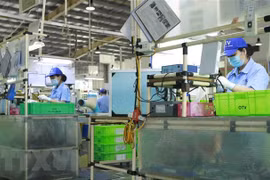 Công nhân làm việc trong một nhà máy ở Vĩnh Phúc. (Ảnh: Quỳnh Hoa/TTXVN)