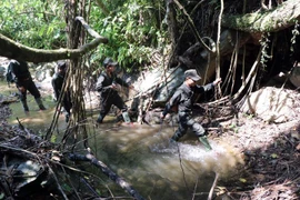 Đội tuần tra bảo vệ rừng phải đi nhiều ngày mới đến được vùng lõi của khu bảo tồn. (Ảnh: Đỗ Trưởng/TTXVN)