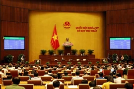 Đại biểu Quốc hội biểu quyết thông qua Nghị quyết về cơ cấu số lượng thành viên Chính phủ. (Ảnh: Phạm Kiên/TTXVN)