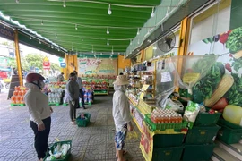 Người dân xếp hàng vào mua thực phẩm tại cửa hàng Bách hóa xanh ở Thành phố Hồ Chí Minh. (Ảnh: Thành Chung/TTXVN)