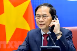 Bộ trưởng Ngoại giao Bùi Thanh Sơn. (Ảnh: TTXVN phát)