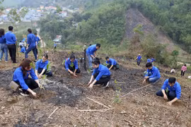 Đoàn viên, thanh niên TTXVN trồng cây hưởng ứng Tết trồng cây năm 2021 và chương trình trồng 1 tỷ cây xanh. (Ảnh: Tuấn Đức/TTXVN)