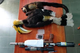 Khẩu súng hơi cùng động vật quý hiếm bị 3 đối tượng săn bắt. (Ảnh: Công an huyện Ninh Sơn cung cấp)