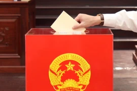 Ảnh minh họa. (Nguồn: TTXVN)