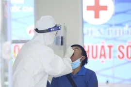 Lấy mẫu xét nghiệm COVID-19 toàn bộ nhân viên Bệnh viện Phổi Hà Nội. (Ảnh: Hoàng Hiếu/TTXVN)