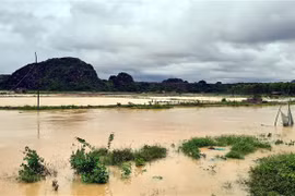 Mưa lớn khiến nhiều diện tích nuôi trồng thủy hải sản của người dân thị xã Hoàng Mai bị nước dâng cao, cuốn trôi nhiều tôm cá. (Ảnh: TTXVN phát)