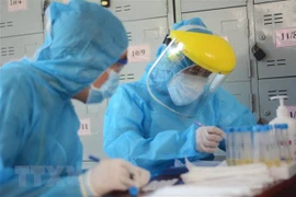 Các nhân viên y tế làm xét nghiệm SARS-CoV-2. (Nguồn: TTXVN)