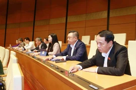 Đại biểu Quốc hội biểu quyết. (Ảnh: Phương Hoa/TTXVN)