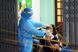 Lực lượng y tế lấy mẫu xét nghiệm toàn bộ nhân khẩu thôn Phú Đa, xã Công Lý, huyện Lý Nhân, tỉnh Hà Nam. (Ảnh: Đại Nghĩa/TTXVN)