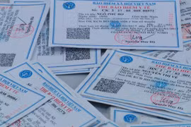 Thẻ bảo hiểm y tế. (Ảnh: PV/Vietnam+)