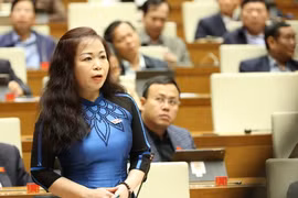 Đại biểu Quốc hội thành phố Hà Nội Vũ Thị Lưu Mai phát biểu. (Ảnh: Dương Giang/TTXVN)