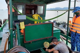 25.000 lít dầu DO không rõ nguồn gốc trên tàu HP-3839 bị tạm giữ. (Nguồn: TTXVN)