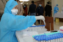 Quy trình xét nghiệm được thực hiện nghiêm túc và chuẩn xác. (Ảnh: Hoàng Hiếu/TTXVN)