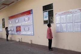 Cử tri phường 2, thành phố Cà Mau xem danh sách, tiểu sử những người ứng cử. (Ảnh: Kim Há/TTXVN)