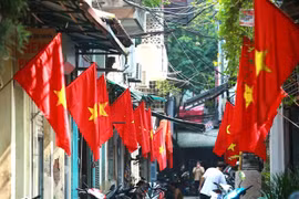 Ảnh minh họa. (Nguồn: TTXVN)