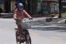 Ảnh minh họa. (Nguồn: TTXVN)