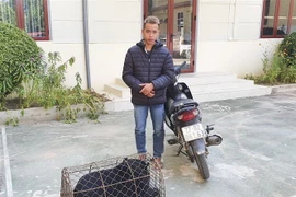 Đối tượng Nguyễn Xuân Đức cùng cá thể gấu. (Ảnh: TTXVN phát)