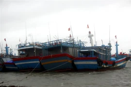 Tàu, thuyền của ngư dân xã Tam Quang, huyện Núi Thành, tỉnh Quảng Nam. (Nguồn: TTXVN)