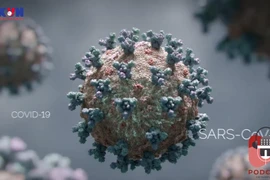 Biến thể Lambda của virus SARS-CoV-2 nguy hiểm như thế nào?