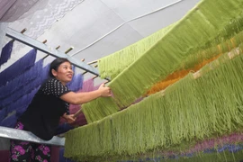 (Ảnh: Chu Hiệu/TTXVN)