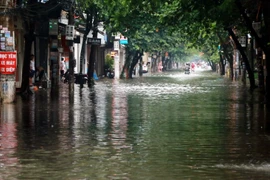 Ảnh: Nguyễn Lành/TTXVN)