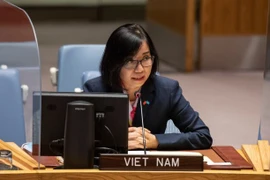 Phó Trưởng phái đoàn Việt Nam tại Liên hợp quốc Nguyễn Phương Trà tại phiên họp. (Ảnh: Khắc Hiếu/TTXVN)