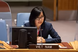 Phó Trưởng phái đoàn Việt Nam tại Liên hợp quốc Nguyễn Phương Trà tại phiên họp. (Ảnh: Khắc Hiếu/TTXVN)