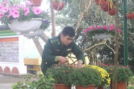 Chiến sỹ Đồn Biên phòng cửa khẩu Trà Lĩnh chăm sóc những chậu hoa chuẩn bị đón Tết Nguyên đán. (Ảnh: Chu Hiệu/TTXVN)
