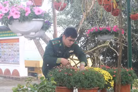 Chiến sỹ Đồn Biên phòng cửa khẩu Trà Lĩnh chăm sóc những chậu hoa chuẩn bị đón Tết Nguyên đán. (Ảnh: Chu Hiệu/TTXVN)