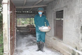 Người dân rắc vôi bột tiêu độc, khử trùng quanh chuồng trại chăn nuôi. (Ảnh: Thùy Dung/TTXVN)