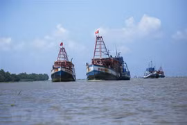 Tàu cá vươn khơi khai thác hải sản. (Ảnh: TTXVN)