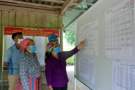 Cử tri thôn Ngòi Rịa, xã Đạo Viện, huyện Yên Sơn (Tuyên Quang) tìm hiểu thông tin về các ứng cử viên tại điểm niêm yết thông tin của thôn. (Ảnh: Vũ Quang Đán/TTXVN)