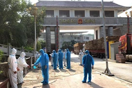 Lực lượng chức năng hai bên làm các thủ tục giao nhận công dân. (Ảnh: TTXVN phát)