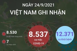 Thêm 8.537 ca mắc COVID-19 và 12.371 người khỏi bệnh.