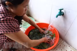 (Ảnh minh họa. Minh Quyết/TTXVN)