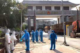 Hà Giang tiếp nhận công dân do Trung Quốc trao trả. (Nguồn: TTXVN)