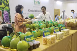 Gian hàng bưởi da xanh Bến Tre tại một triển lãm. (Ảnh: Xuân Anh/TTXVN)