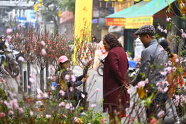 Ảnh minh họa. (Nguồn: TTXVN)