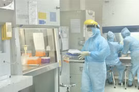 Nhân viên CDC Hà Nội làm xét nghiệm COVID-19. (Ảnh: Minh Quyết/TTXVN)