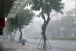 Mưa lớn xảy ra trên địa bàn thành phố Đà Nẵng do bão số 5 gây ra. (Ảnh: Trần Lê Lâm/TTXVN)