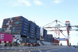 Ảnh minh họa. (Nguồn: TTXVN)