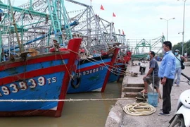 Nhiều tàu thuyền đã về nơi trú bão an toàn. (Ảnh: Nguyễn Nam/TTXVN)