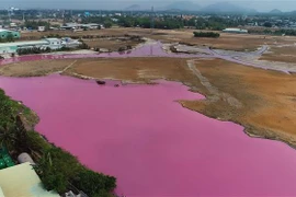 Toàn cảnh khu vực đầm ô nhiễm tại Cống số 6 xã Tân Hải, thị xã Phú Mỹ, tỉnh Bà Rịa-Vũng Tàu. (Ảnh: TTXVN)