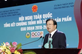 Phó Thủ tướng Trịnh Đình Dũng phát biểu chỉ đạo hội nghị. (Ảnh: Trần Việt/TTXVN)
