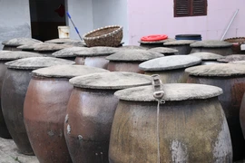 Cá đưa về được ủ với muối, phơi nắng. (Ảnh: Bích Hà-Thu Hoài/Vietnam+)